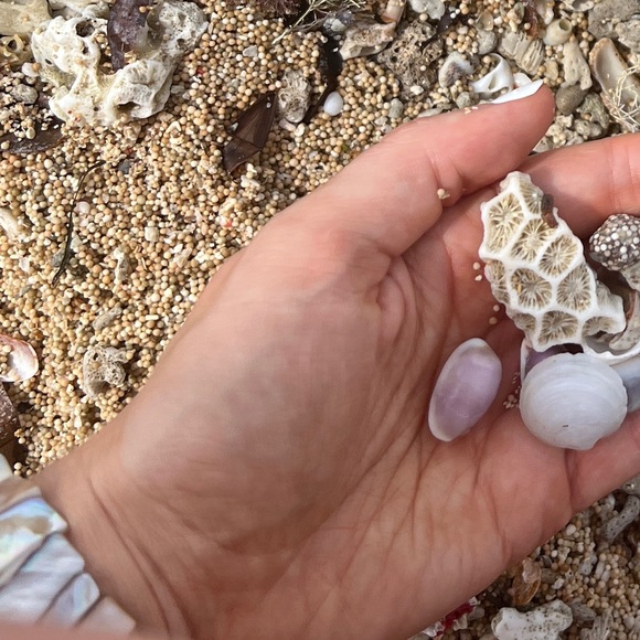 Shell bracelet ๐ - Picture 14 of 17